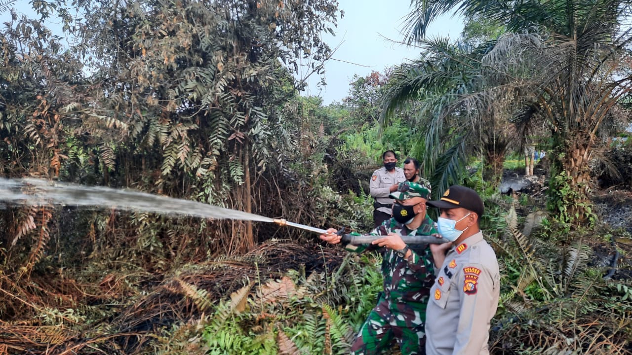 Kebakaran Lahan Sawit di Pandau Jaya, Kapolsek Siak Hulu Bersama Danramil Pimpin Pemadaman i