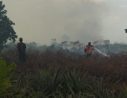 Lebih 20 Hektare Lahan di Rohil Terbakari