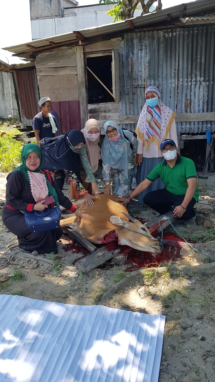 SPS Riau Berkurban 1 Ekor Sapi , Khairul Amri : Semoga Tahun Depan Bisa Ditingkatkan Lagii