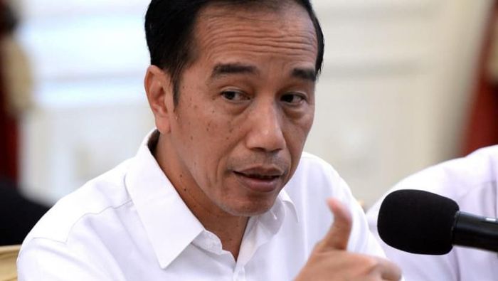 Jokowi: Menkes Sudah Temukan Jurusnyai